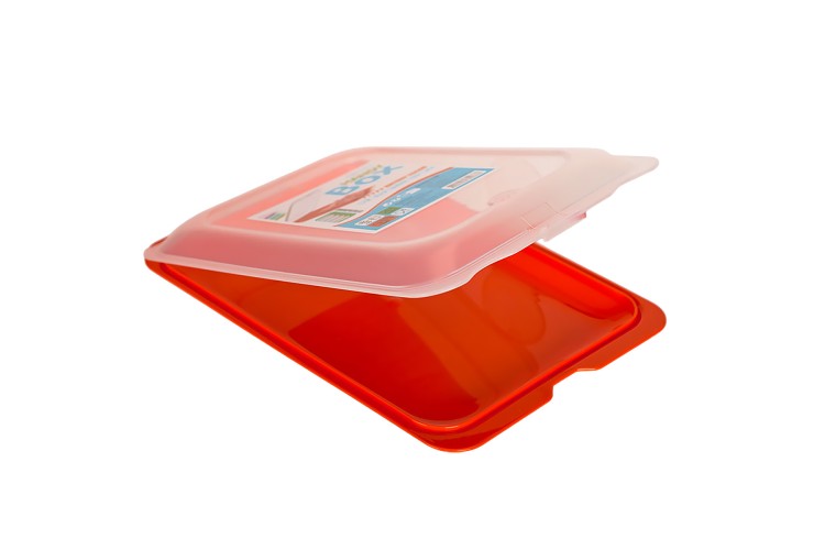 Контейнер HANDY BOX 0,9 л (A-50) з кришкою та ручками